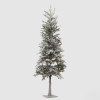 Pinheiro 97cm